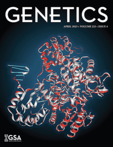 Cover of the April 2023 issue of GENETICS depicting a 3D protein structure.